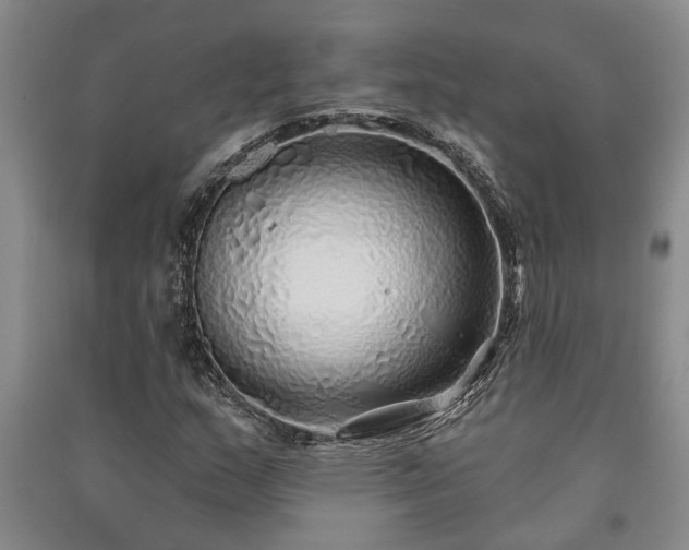 X0000091231159200708161711