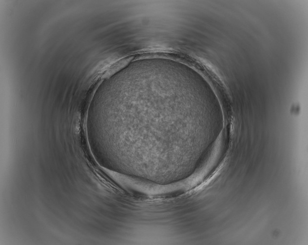 X0000091231161200708161711