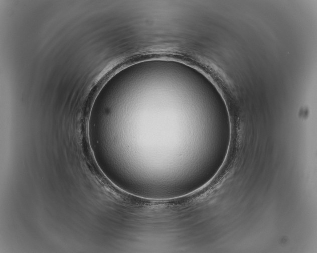 X0000091231162200708161711