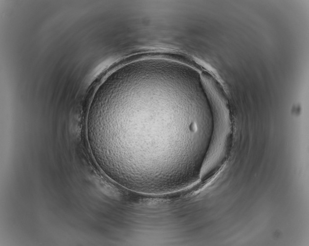 X0000091231163200708161711
