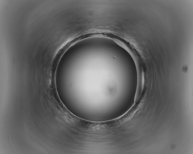 X0000091231165200708161711