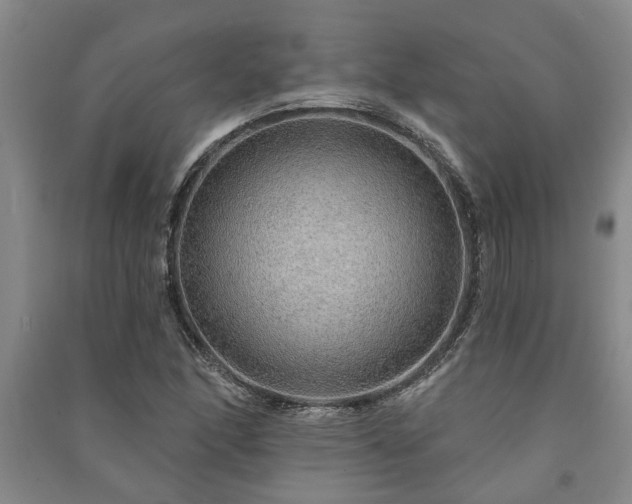 X0000091231166200708161711