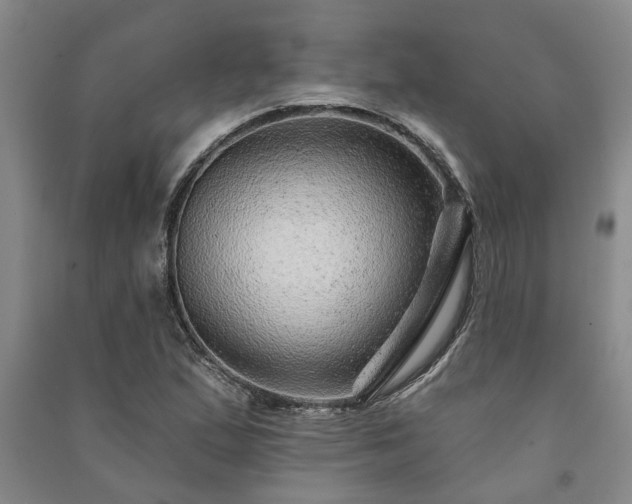 X0000091231167200708161711