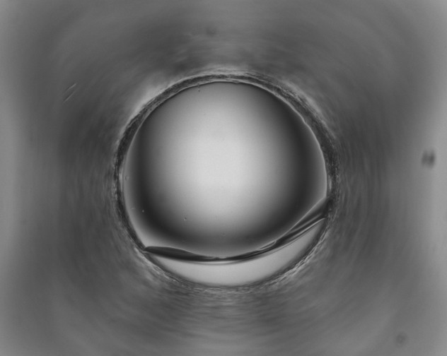 X0000091231168200708161711