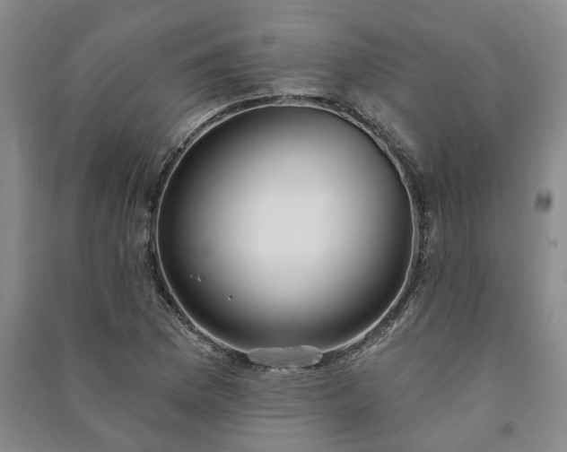 X0000091231169200708161711