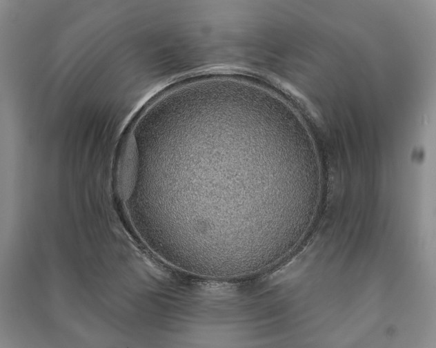 X0000091231170200708161711