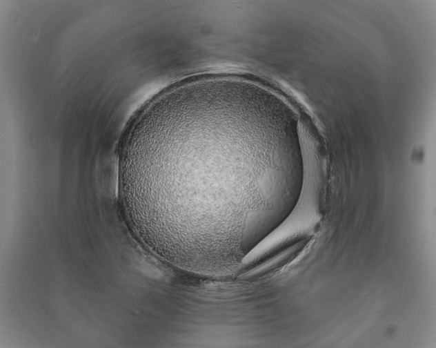 X0000091231171200708161711