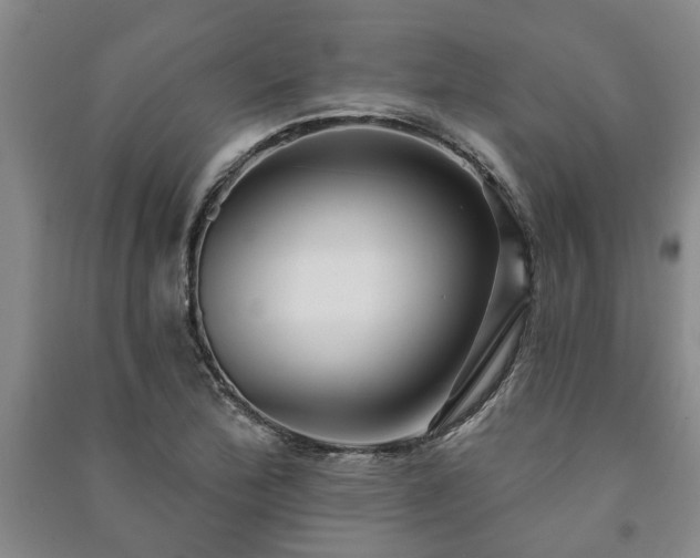 X0000091231172200708161711
