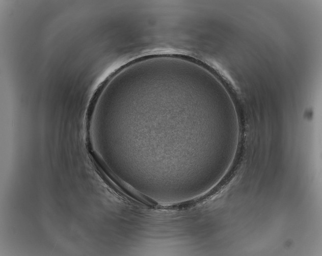 X0000091231173200708161711