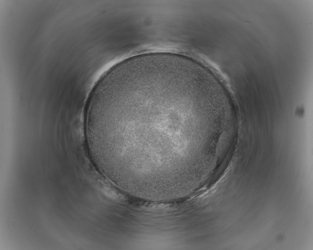 X0000091231174200708161711