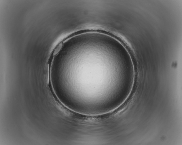 X0000091231175200708161710