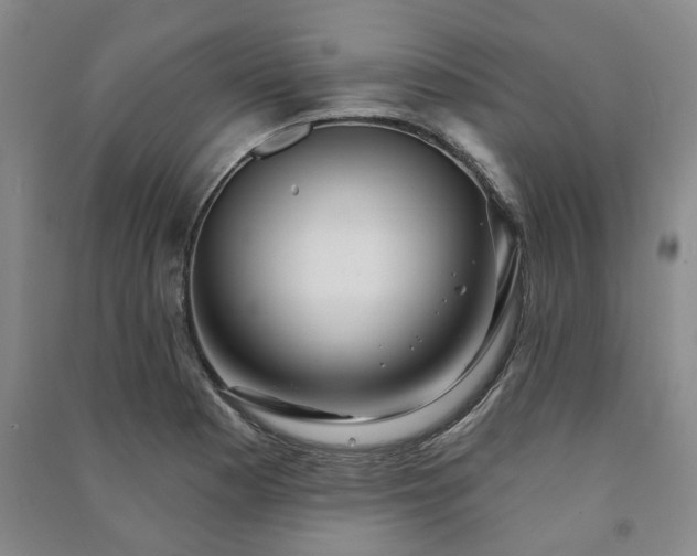 X0000091231177200708161710