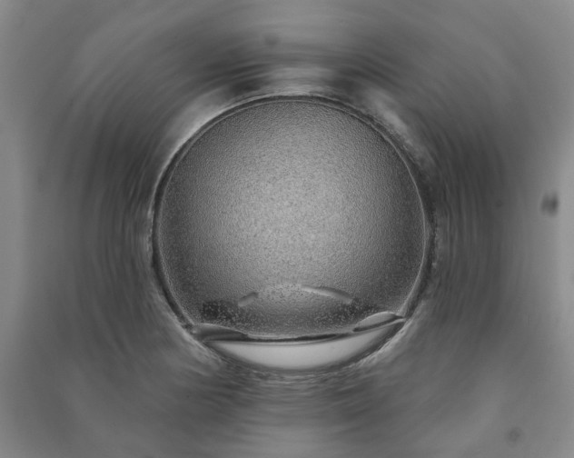X0000091231178200708161710