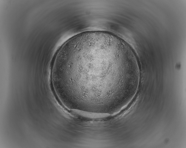 X0000091231179200708161710