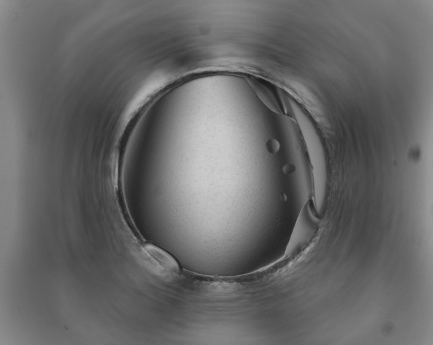 X0000091231180200708161710