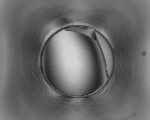 X0000091231181200708161710