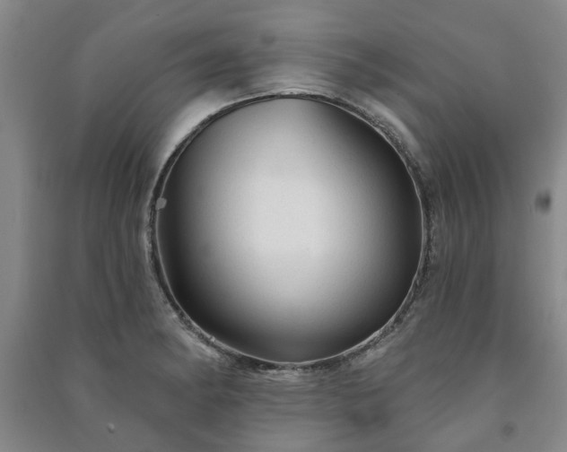 X0000091231182200708161710