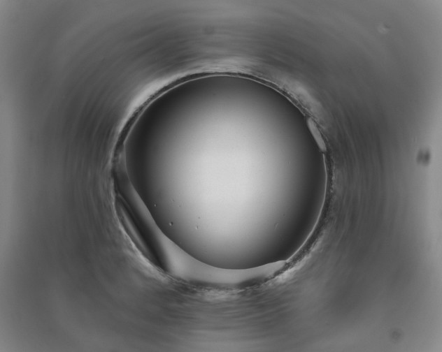X0000091231184200708161710