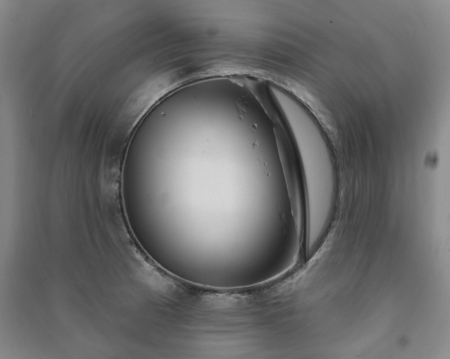 X0000091231185200708161710