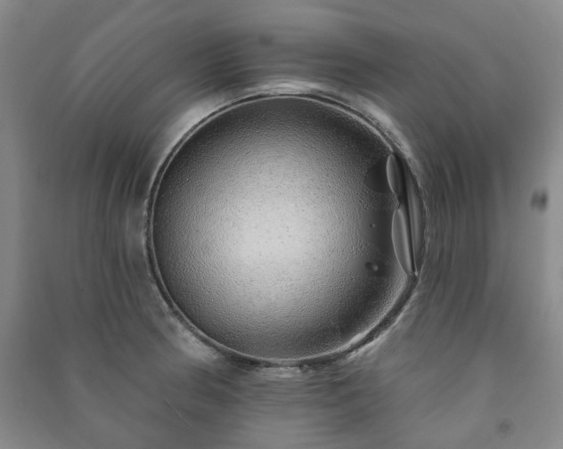 X0000091231186200708161710