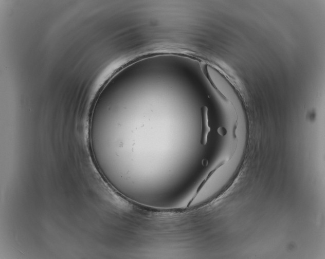 X0000091231188200708161710