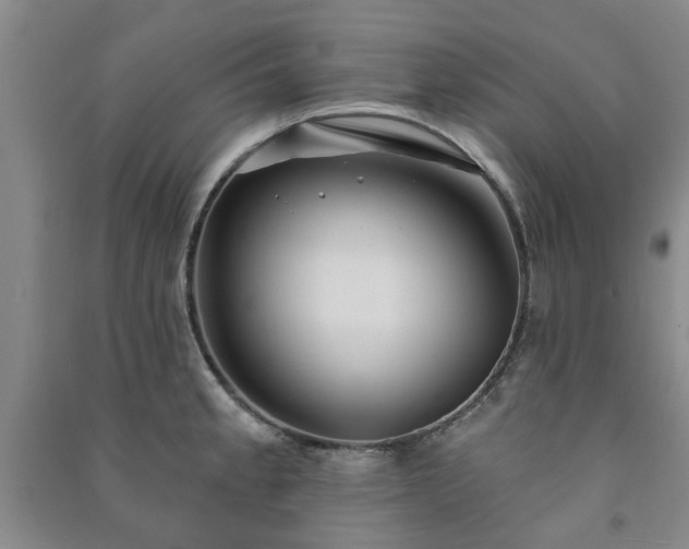 X0000091231189200708161710