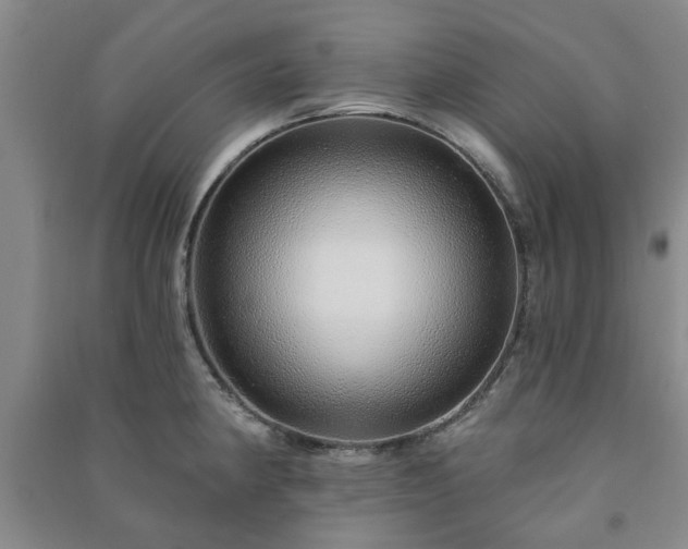 X0000091231190200708161710