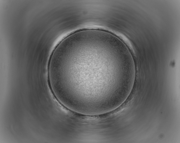 X0000091231191200708161710
