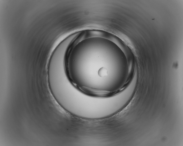 X0000091231192200708161710