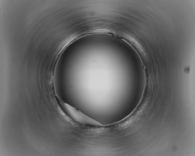 X0000091231193200708161710