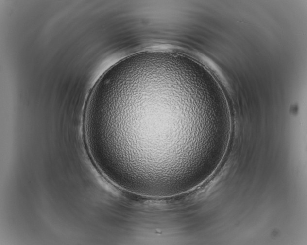 X0000091231194200708161710