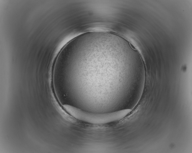 X0000091231195200708161710