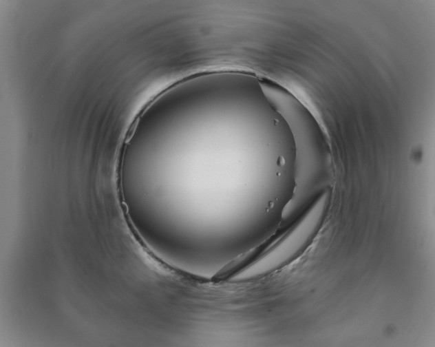 X0000091231197200708161710
