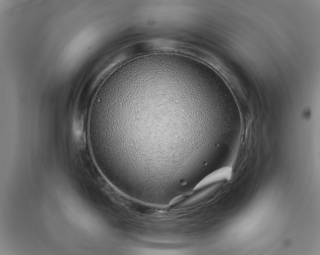 X0000091231198200708161710