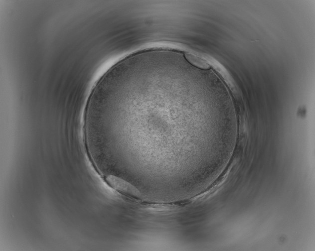 X0000091231199200708161710