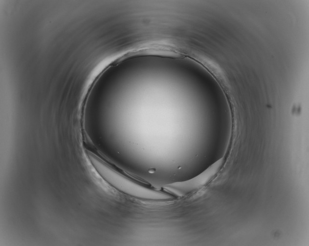 X0000091231200200708161710
