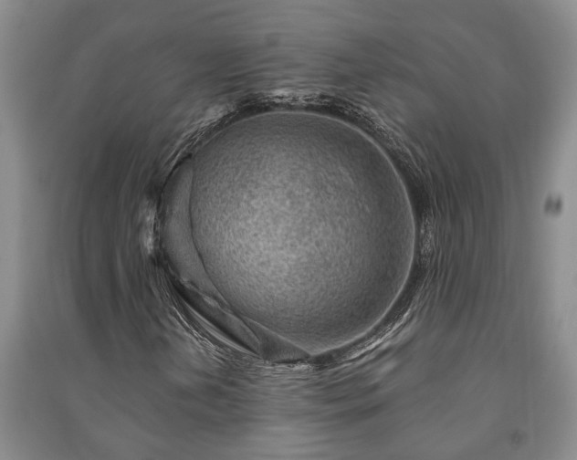X0000091231202200708161710