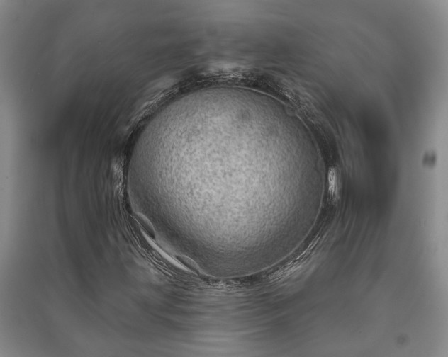 X0000091231203200708161710