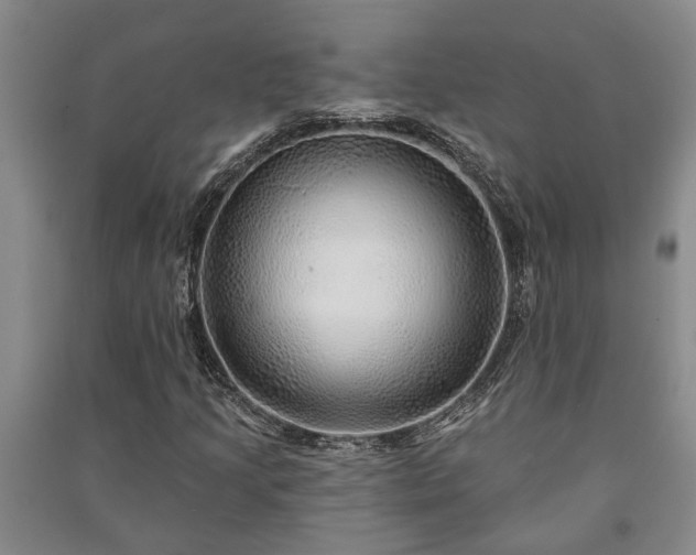 X0000091231205200708161710