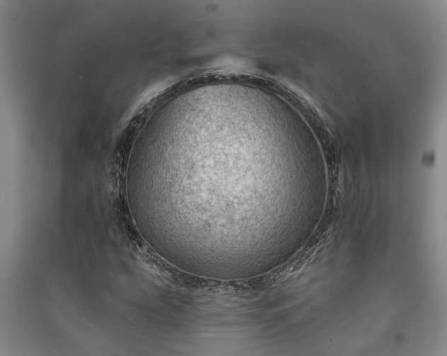X0000091231207200708161710