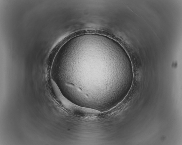 X0000091231208200708161710