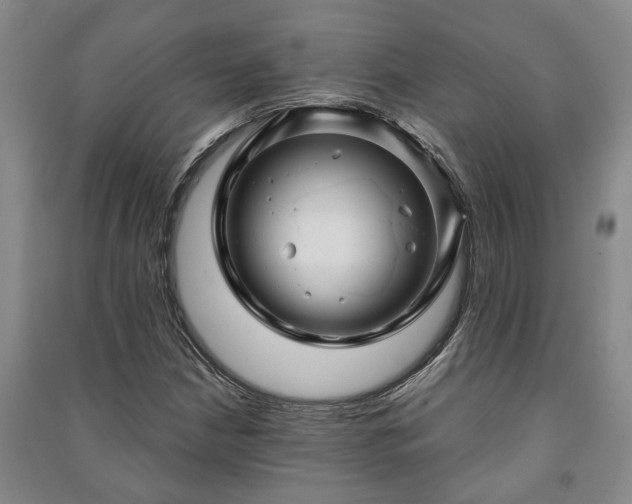 X0000091231210200708161710