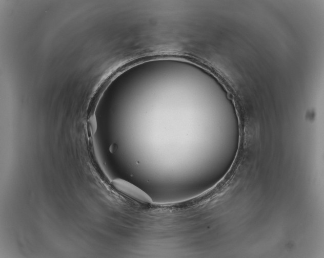 X0000091231212200708161710