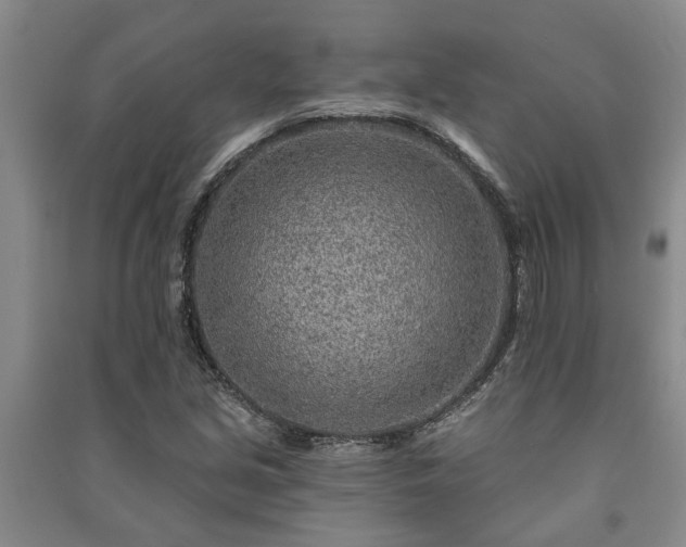 X0000091231213200708161710