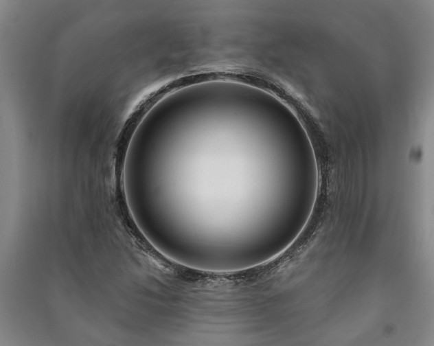 X0000091231214200708161710