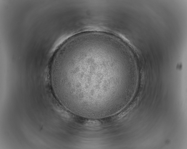 X0000091231215200708161710