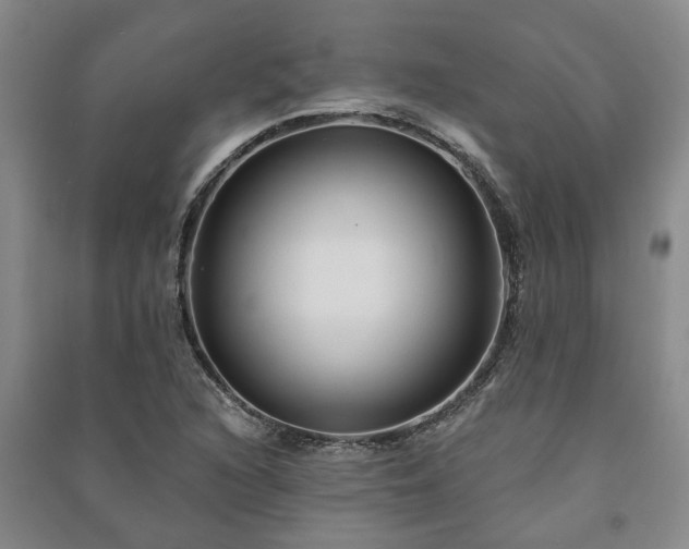 X0000091231216200708161710