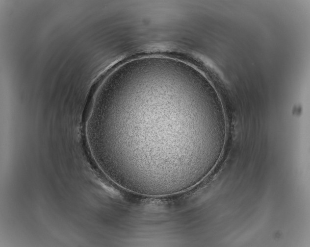 X0000091231217200708161710