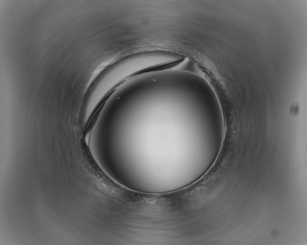 X0000091231218200708161710