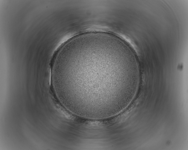 X0000091231219200708161710